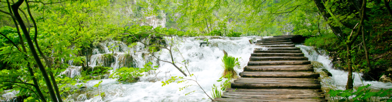 ���C���摜